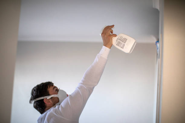 Best Toxic Mold Removal  in Queens, NY