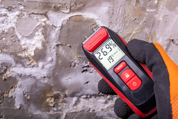 Best Mold Testing and Removal  in Queens, NY