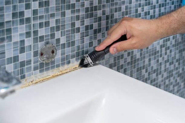 Mold Testing and Removal in Queens, NY